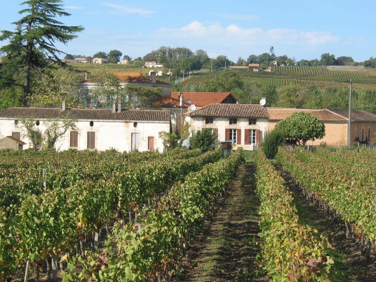 Chateau Rousselle Bed and Breakfast Saint-Ciers-de-Canesse Exterior foto