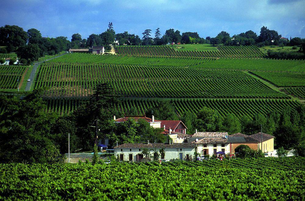 Chateau Rousselle Bed and Breakfast Saint-Ciers-de-Canesse Exterior foto