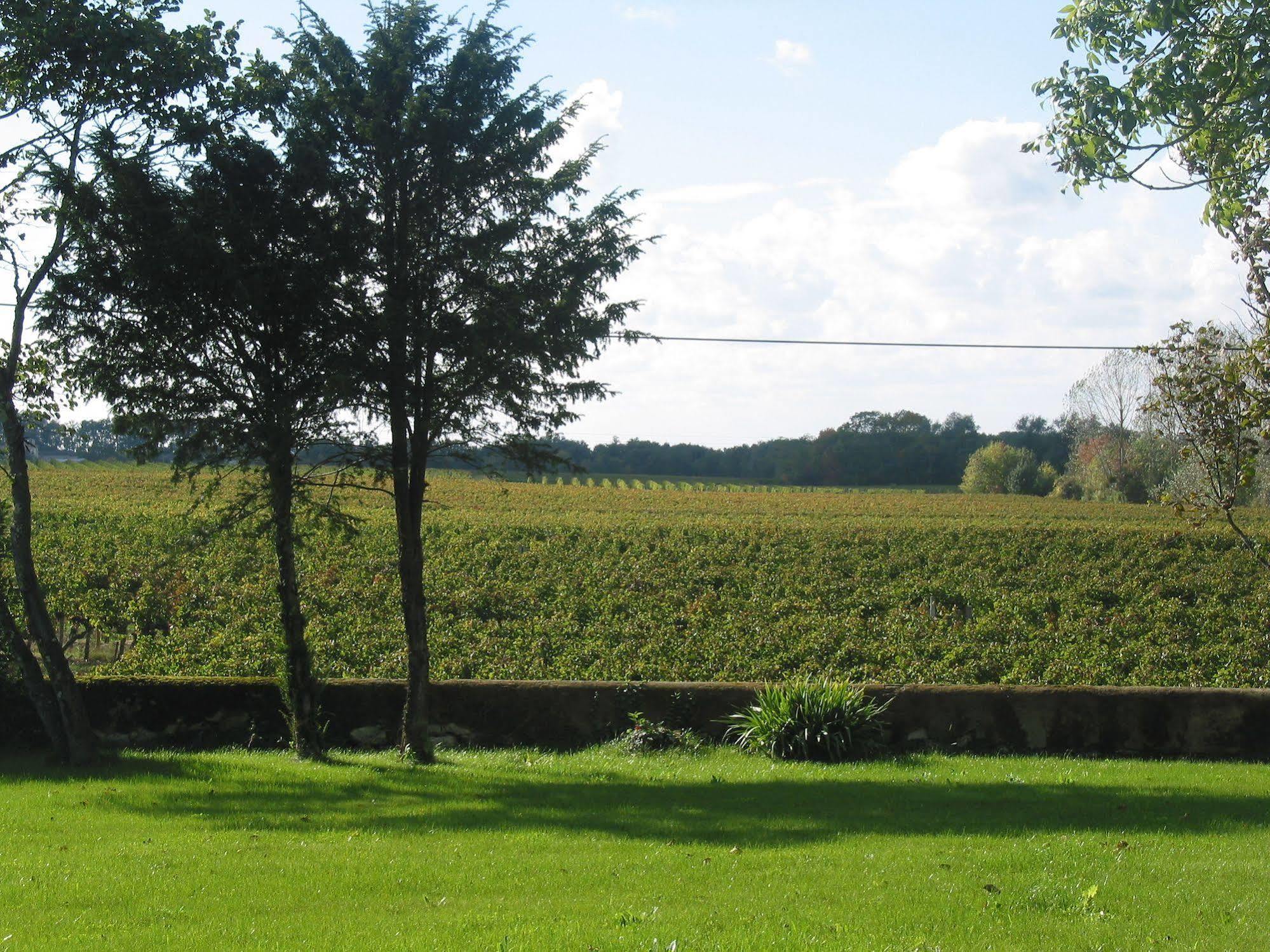 Chateau Rousselle Bed and Breakfast Saint-Ciers-de-Canesse Exterior foto